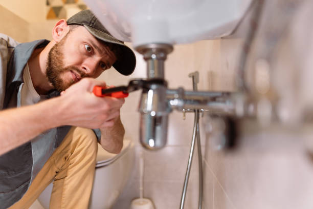 Best Plumbing Inspection Services  in Ely, IA
