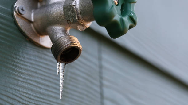 Best Pipe Repair Near Me  in Ely, IA