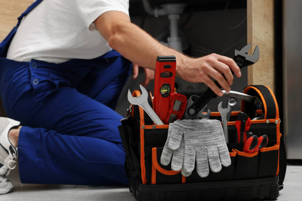 Best Clogged Drain Plumber  in Ely, IA